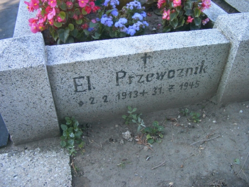 Przewoznik El