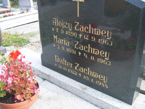 Zachwey Alojzy