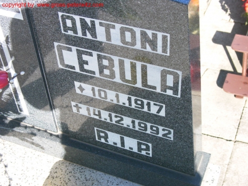 Cebula Antoni